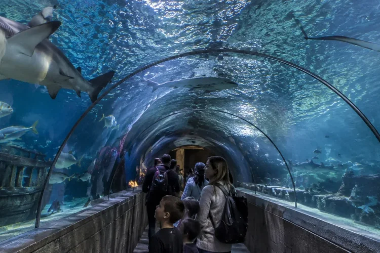 National SEA LIFE Centre Birmingham